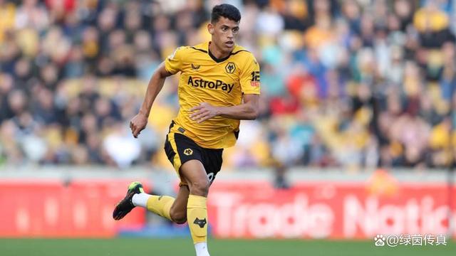 熊猫直播-狼队引进新前锋，试图改善攻击实力的简单介绍