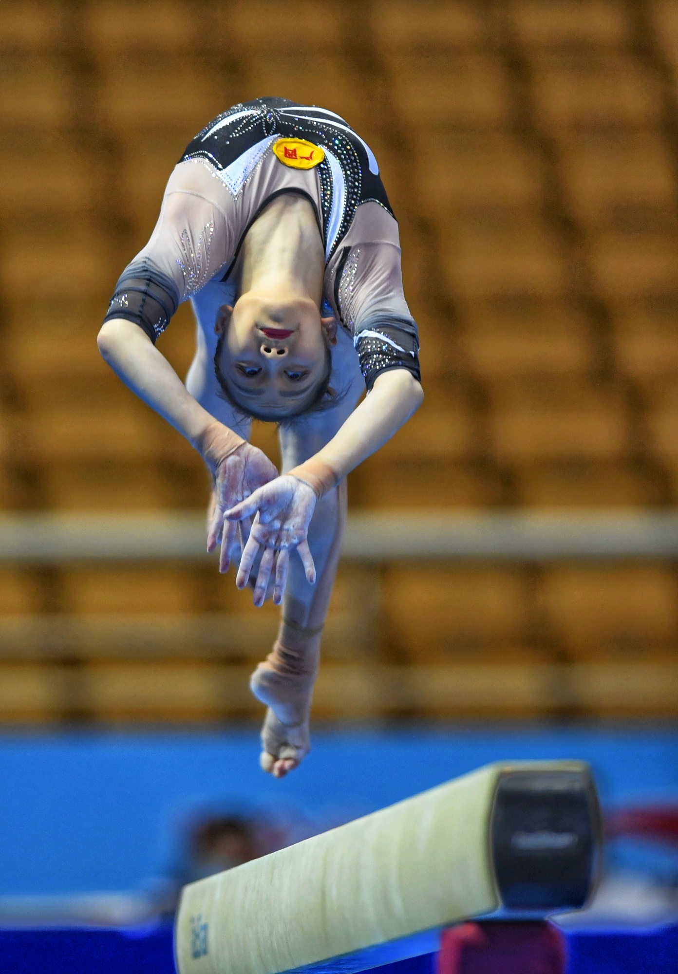 熊猫体育互动-体操赛场上精彩纷呈动作惊艳的简单介绍