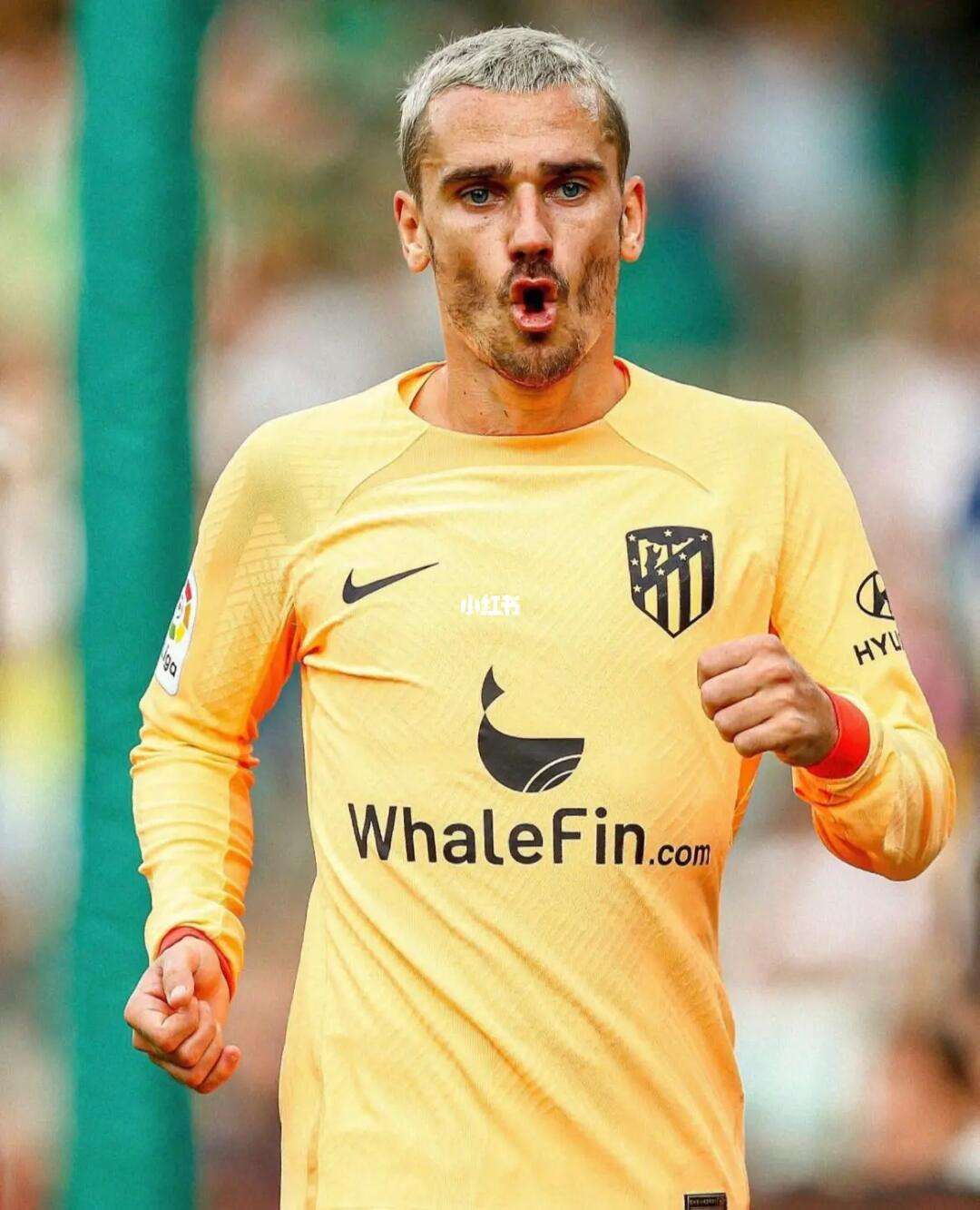 格列兹曼在法国世界杯上展现爆破如此表现 格列兹曼在法国世界杯上展现爆破如此表现