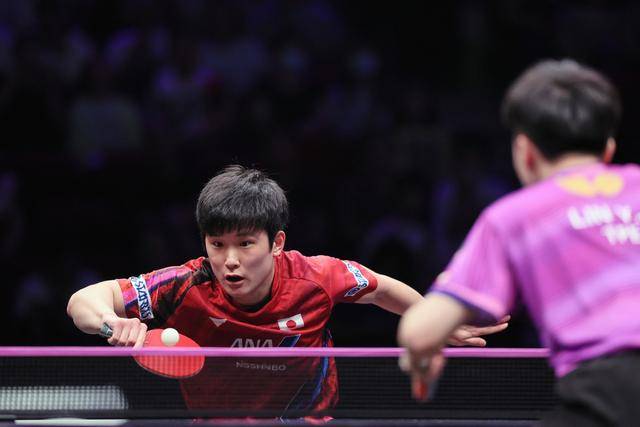 比利时乒乓球队横扫日本乒乓球队，张本智和高光表现的简单介绍